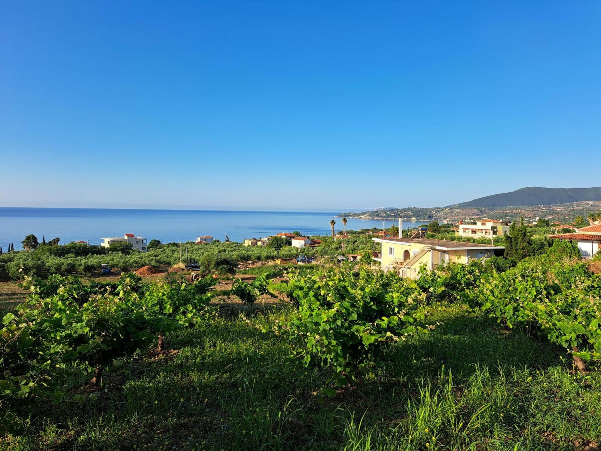 Takis Bizos House 1 Villa Koróni Dış mekan fotoğraf
